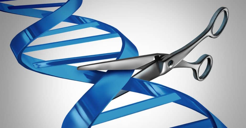 DNA_splicing_scissors