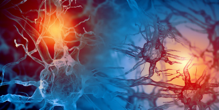 NIPS_neurons_symposium_FLI_2