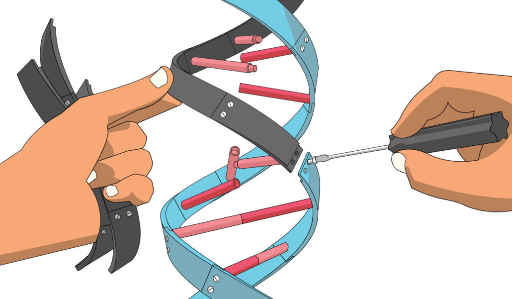 types of genetic engineering